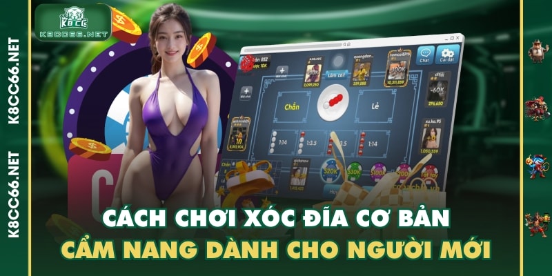 Cách Chơi Xóc Đĩa Cơ Bản - Cẩm Nang Dành Cho Người Mới