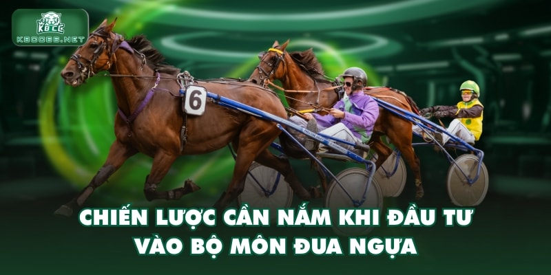 Chiến lược cần nắm khi đầu tư vào bộ môn đua ngựa