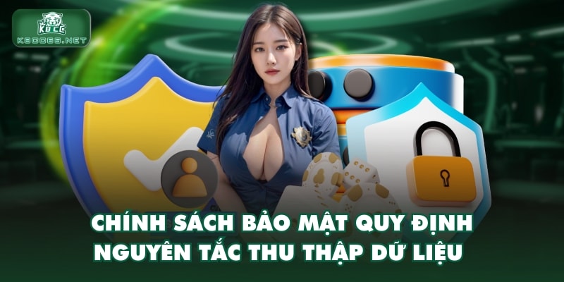 Chính sách bảo mật quy định nguyên tắc thu thập dữ liệu