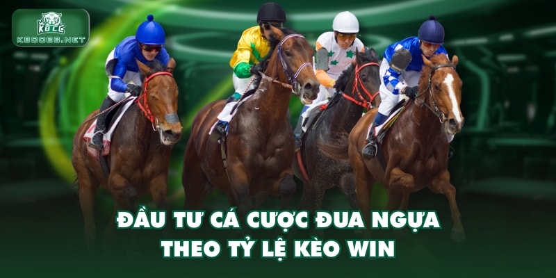 Đầu tư cá cược đua ngựa theo tỷ lệ kèo win