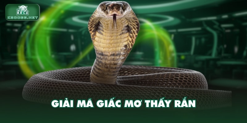 Giải mã giấc mơ thấy rắn