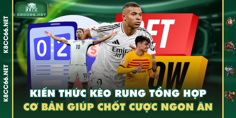 Kiến Thức Kèo Rung Tổng Hợp Cơ Bản Giúp Chốt Cược Ngon Ăn