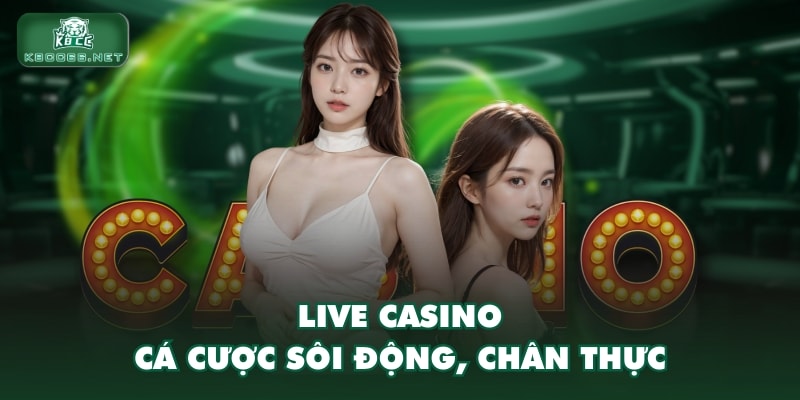 Live casino cá cược sôi động, chân thực